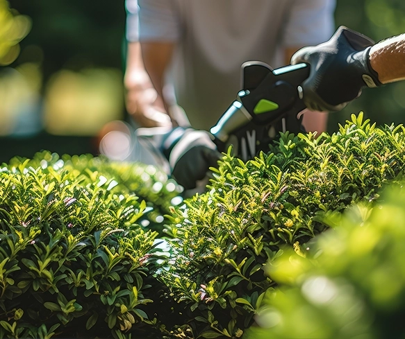 Entretien espace vert Méribel — jardin créé par Maison Maucci