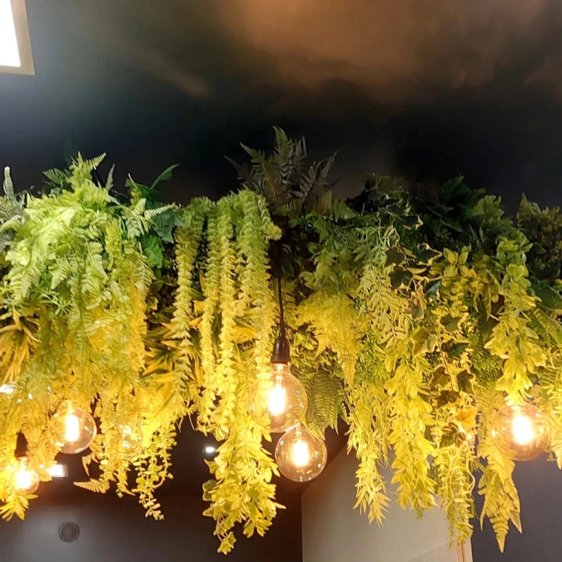 Plantes stabilisées mur végétal bureau Courchevel — Maison Maucci