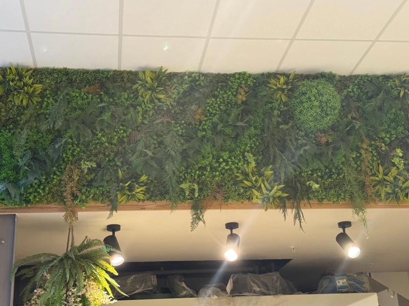 Mur Végétal Intérieur — Vivez avec la Nature