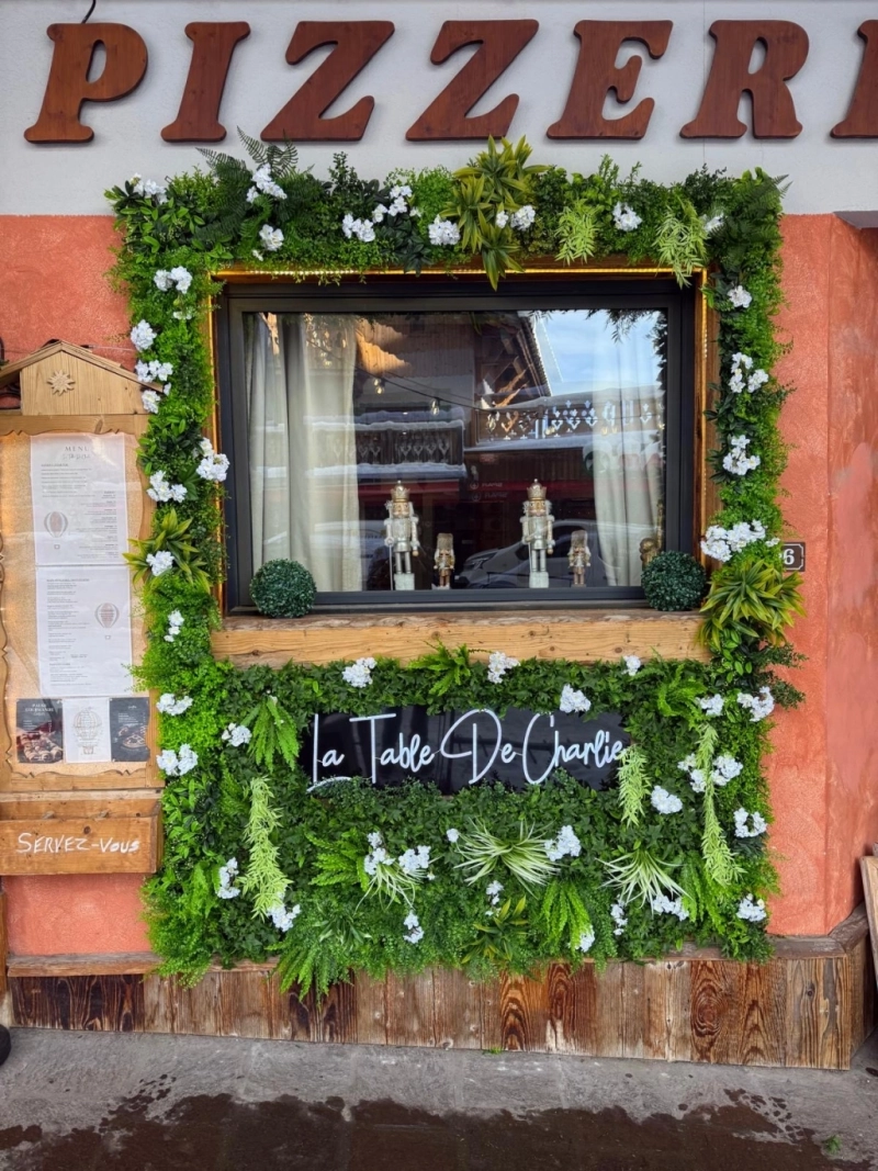 Mur Végétal Intérieur — Vivez avec la Nature
